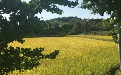소외지역 영화상영(18)