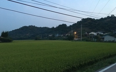 소외지역 영화상영(16)
